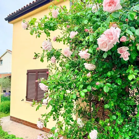 Casa Delle Rose * Ližnjan